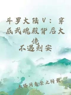 斗羅大陸Ⅴ：穿成武魂殿背后大佬